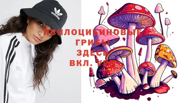 СК Армянск